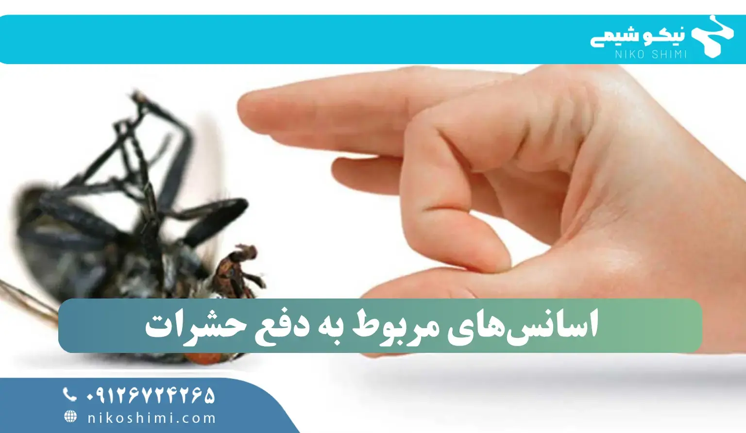 بهترین اسانس‌ها برای دفع حشرات به صورت طبیعی