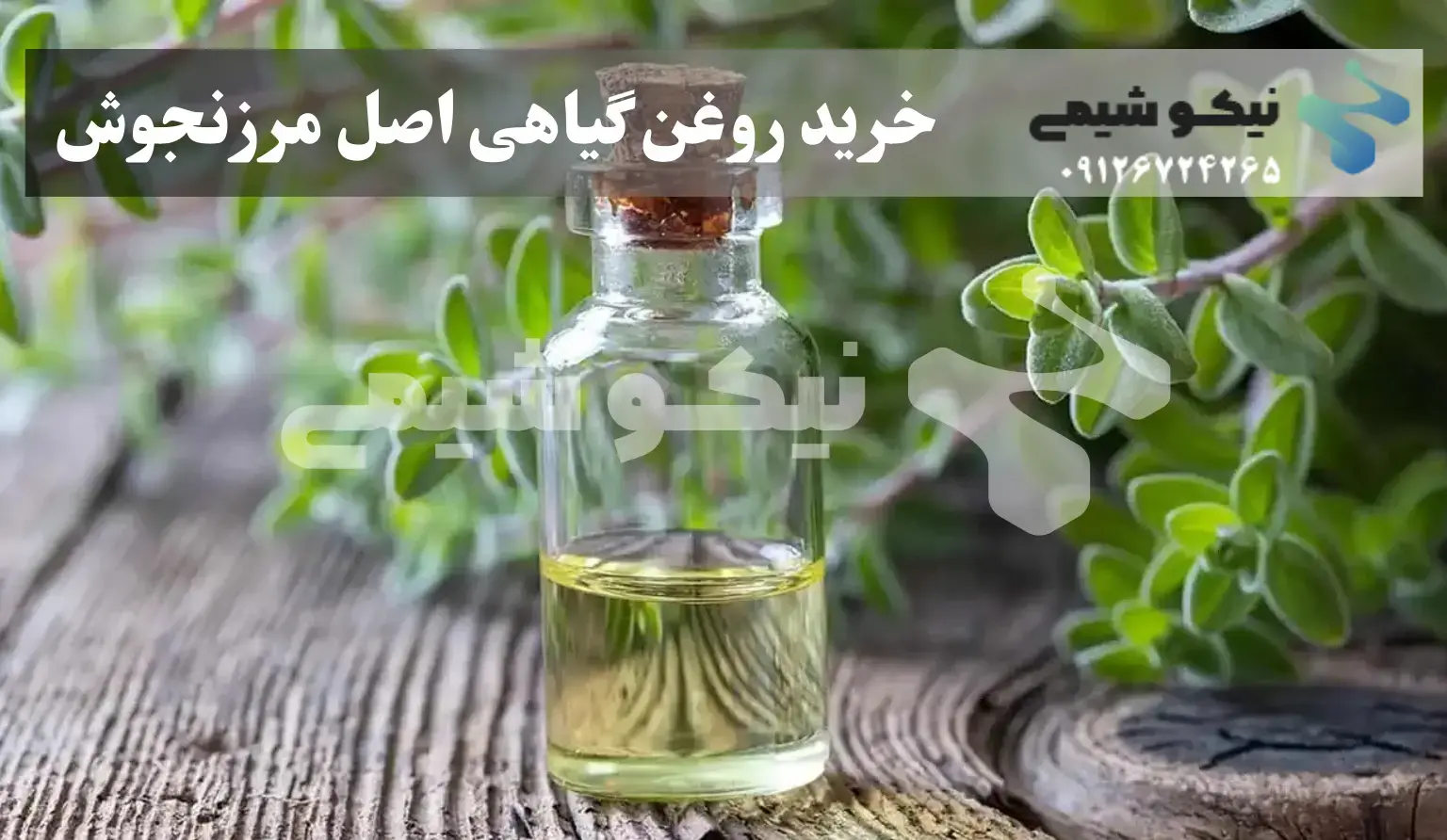 چرا باید روغن مرزنجوش اصل بخریم؟