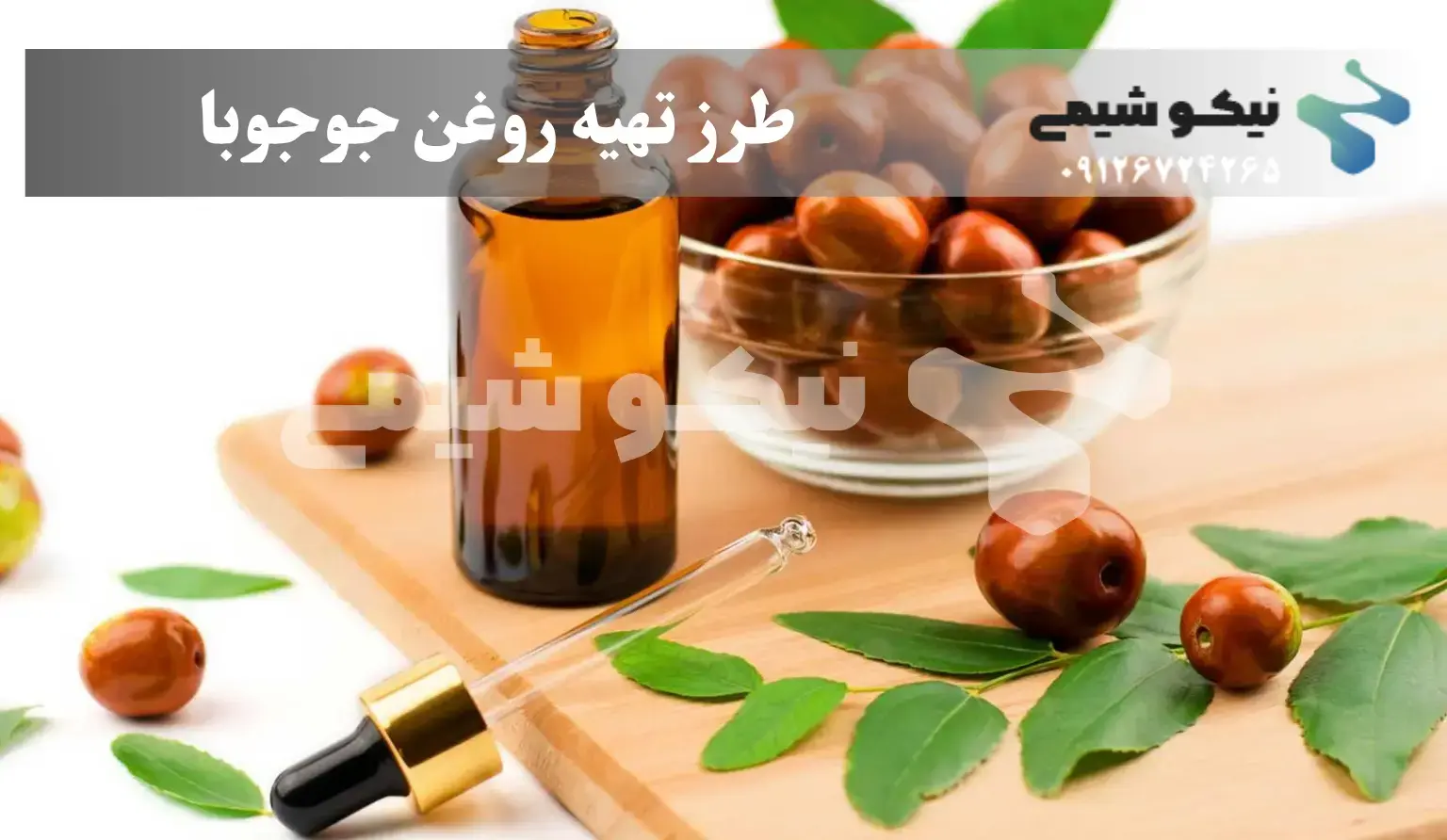 طرز تهیه روغن جوجوبا خانگی طرز تهیه روغن جوجوبا خانگی