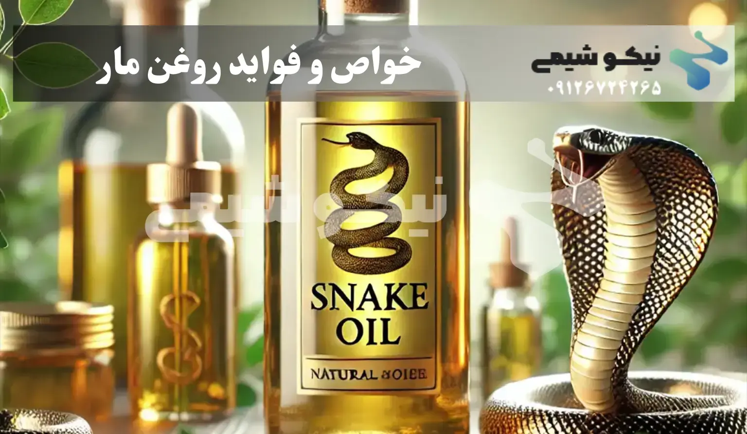 خواص و فواید روغن مار خواص و فواید روغن مار