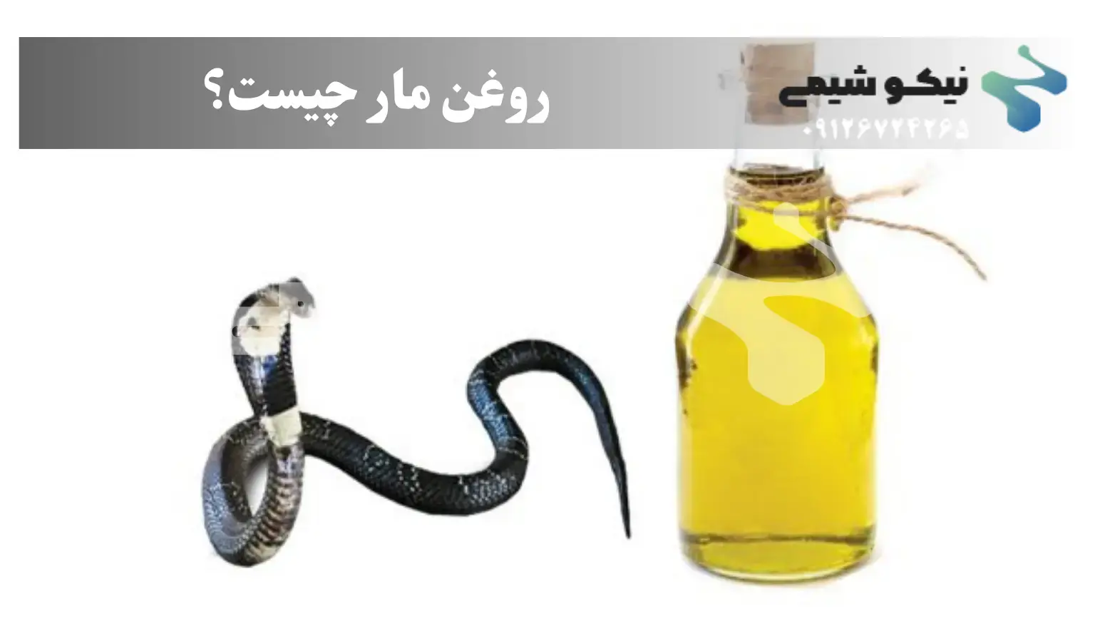 روغن مار چیست؟ روغن مار چیست؟