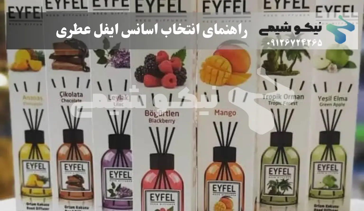 آشنایی با نت‌ ها: نت آغازین، میانی و پایانی را درست ارزیابی کنید.