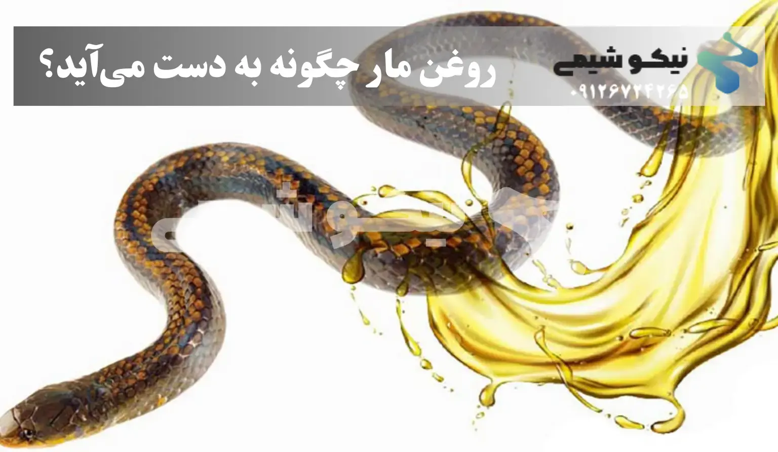 روغن مار چگونه به دست میآید؟ روغن مار چگونه به دست میآید؟