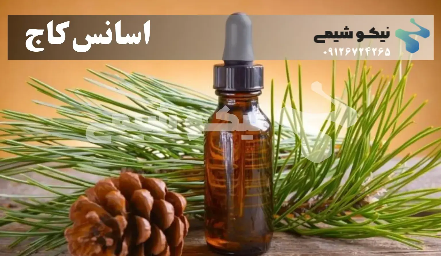 اسانس کاج