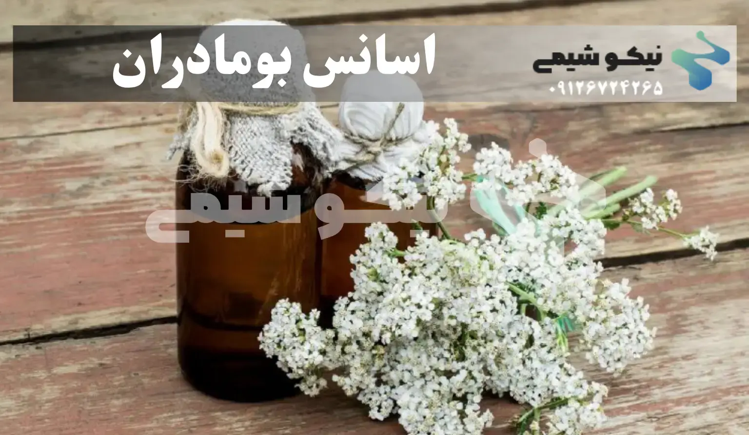 اسانس بومادران