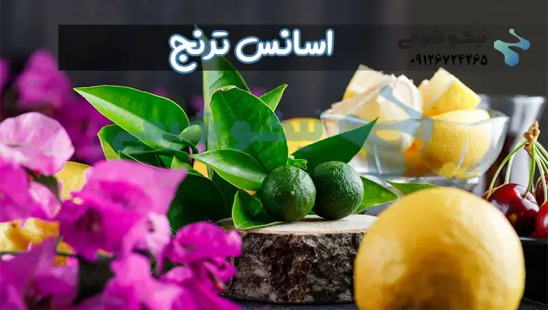 خرید اسانس طعم قوی و ماندگار اسانس ترنج اصیل در نیکوشیمی