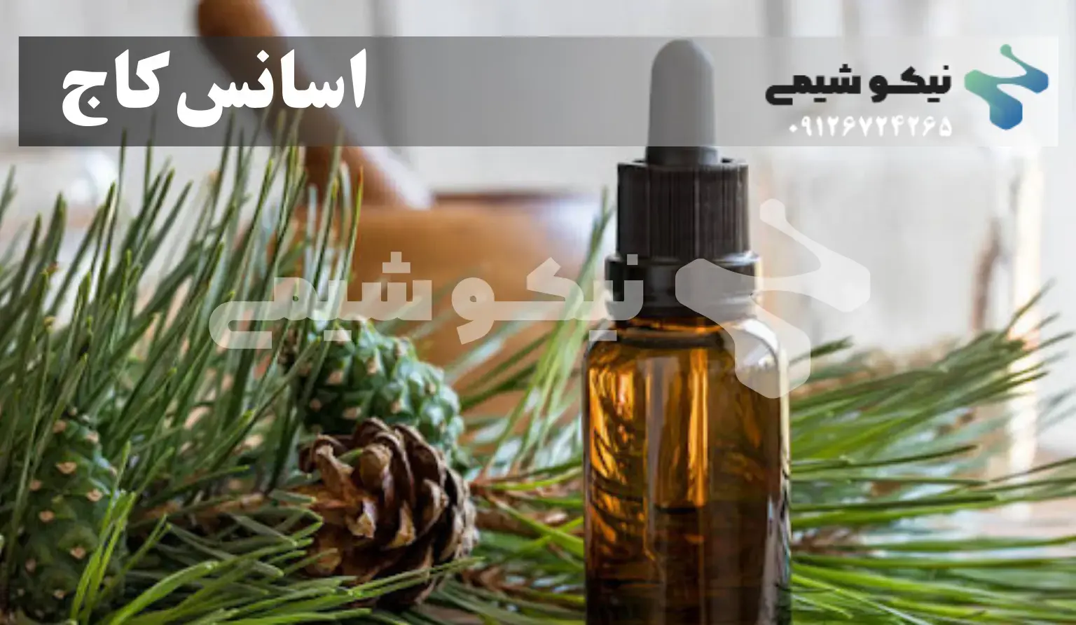 اسانس کاج