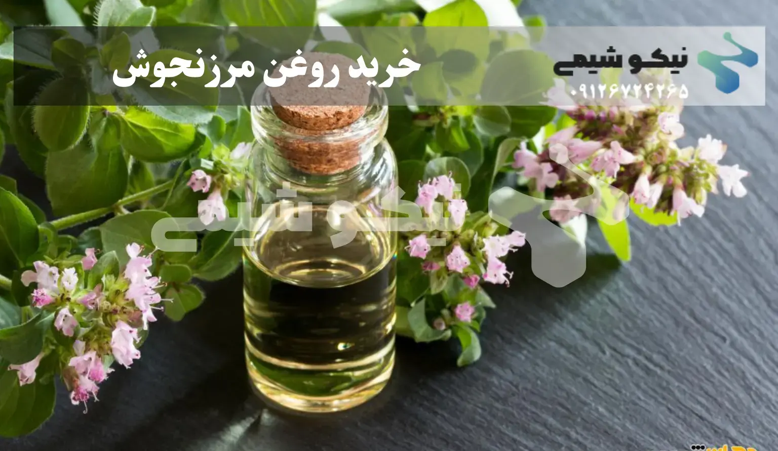 روغن مرزنجوش