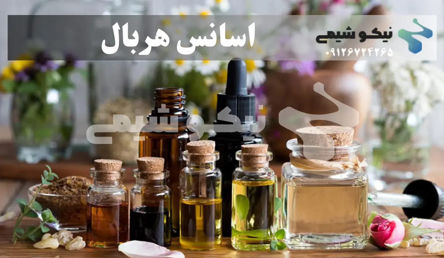 اسانس هربال