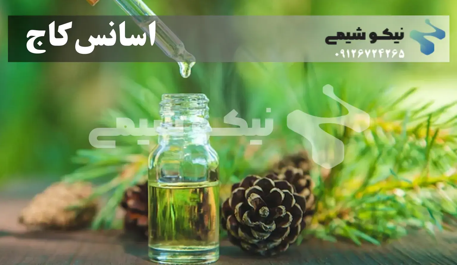 اسانس کاج