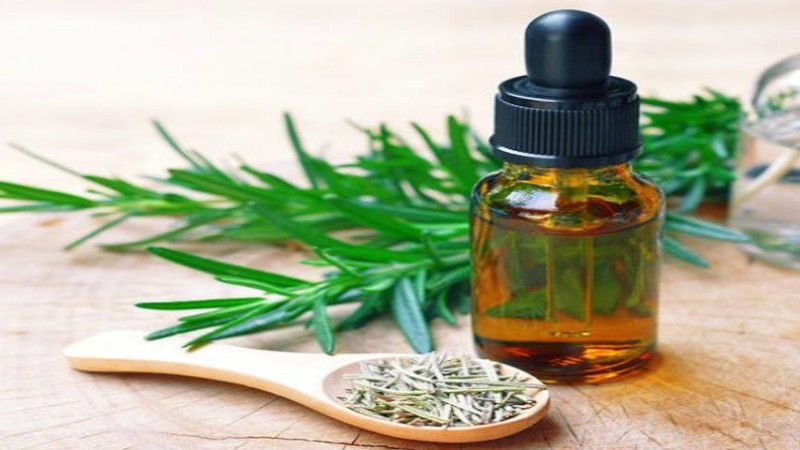 خرید و قیمت اسانس رزماری خالص