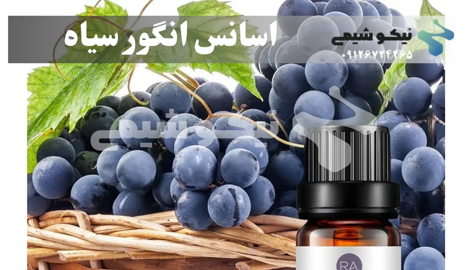 اسانس انگور سیاه